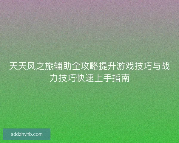 天天风之旅辅助全攻略提升游戏技巧与战力技巧快速上手指南