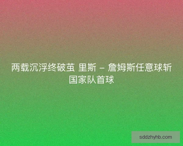 两载沉浮终破茧 里斯 - 詹姆斯任意球斩国家队首球