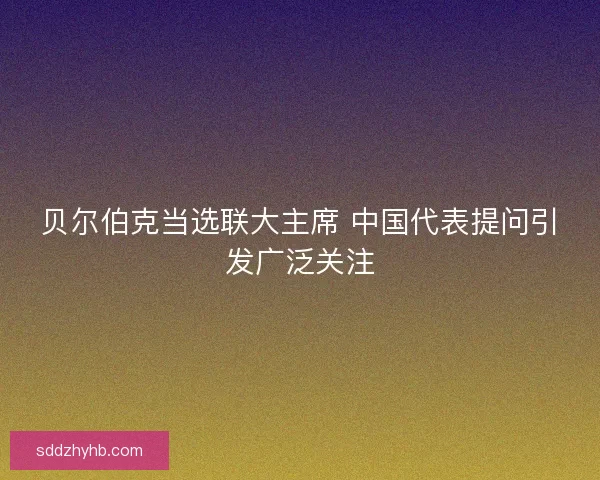 贝尔伯克当选联大主席 中国代表提问引发广泛关注